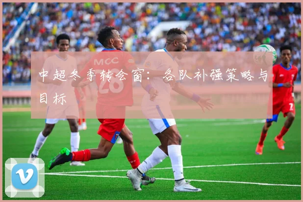 中超冬季转会窗：各队补强策略与目标