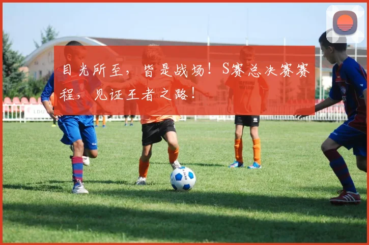 目光所至，皆是战场！S赛总决赛赛程，见证王者之路！